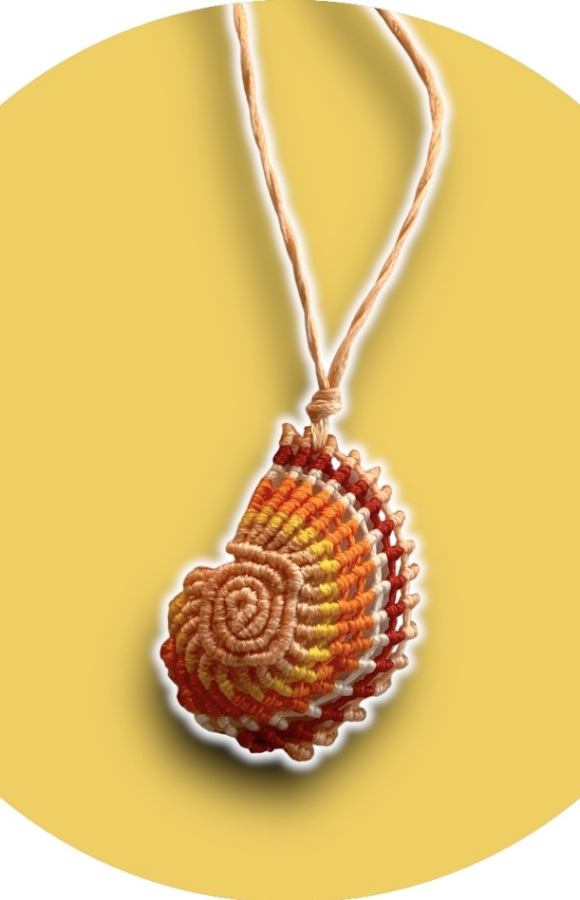 Nautilus 5