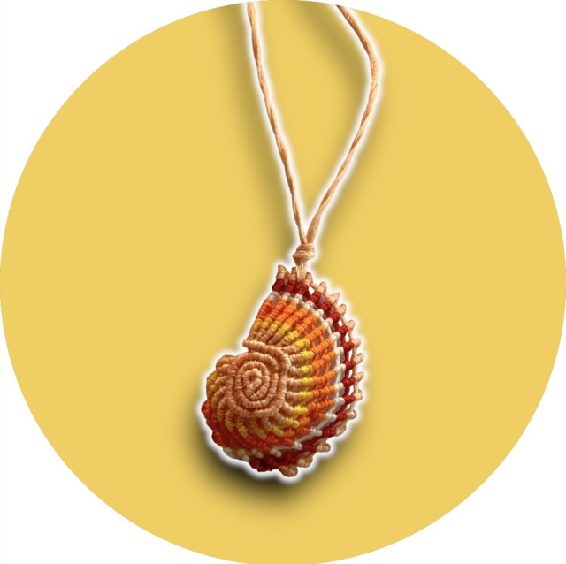 Nautilus 5