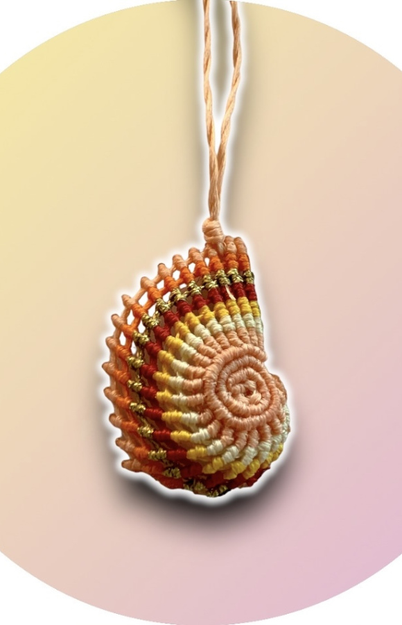 Nautilus 6