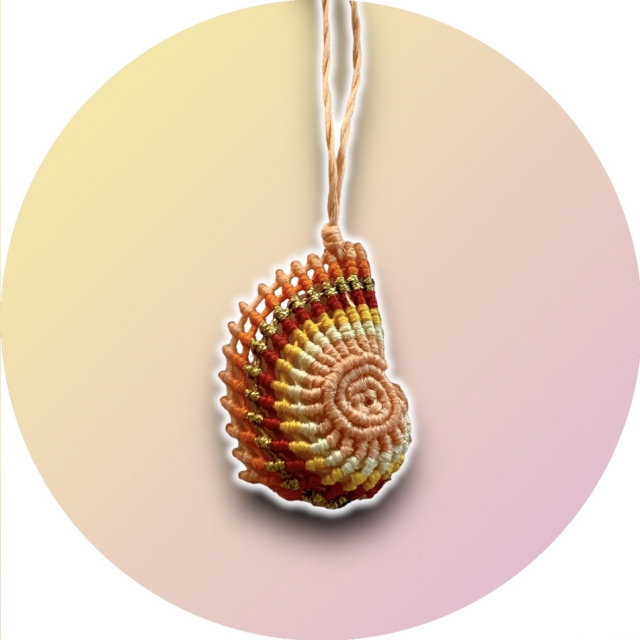 Nautilus 6