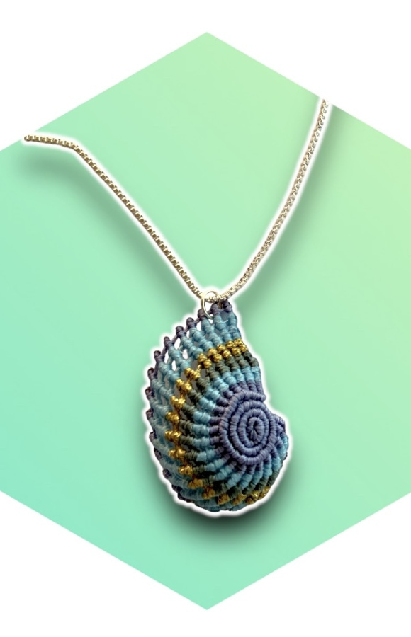 Nautilus 7
